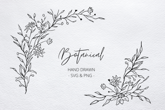 Download Botanical Corner Frame, Wild Flower SVG - Premium Resources